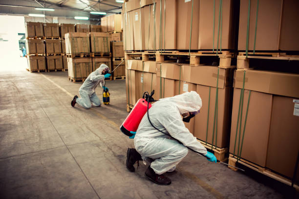 Best Best Pest Control Companies  in Little Falls, MN