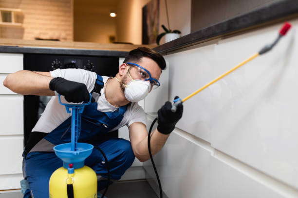 Best Pest Prevention Services  in Little Falls, MN