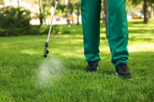 Best Emergency Pest Control  in Little Falls, MN