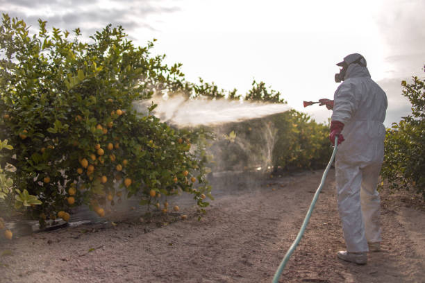 Best Affordable Pest Control Services  in Little Falls, MN