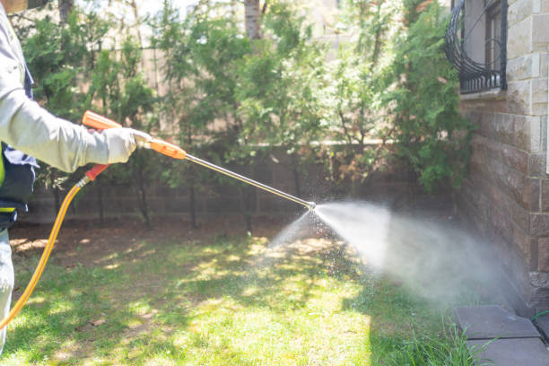Best Flea Control Services  in Little Falls, MN