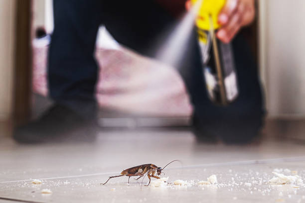 Pest Control Cost in Little Falls, MN