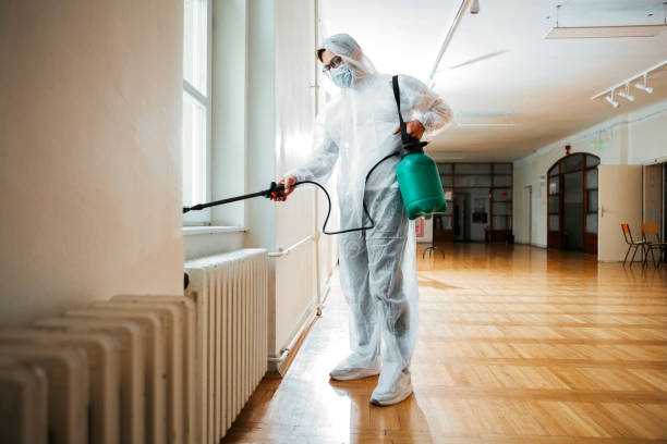 Reliable Little Falls, MN Pest Control Solutions